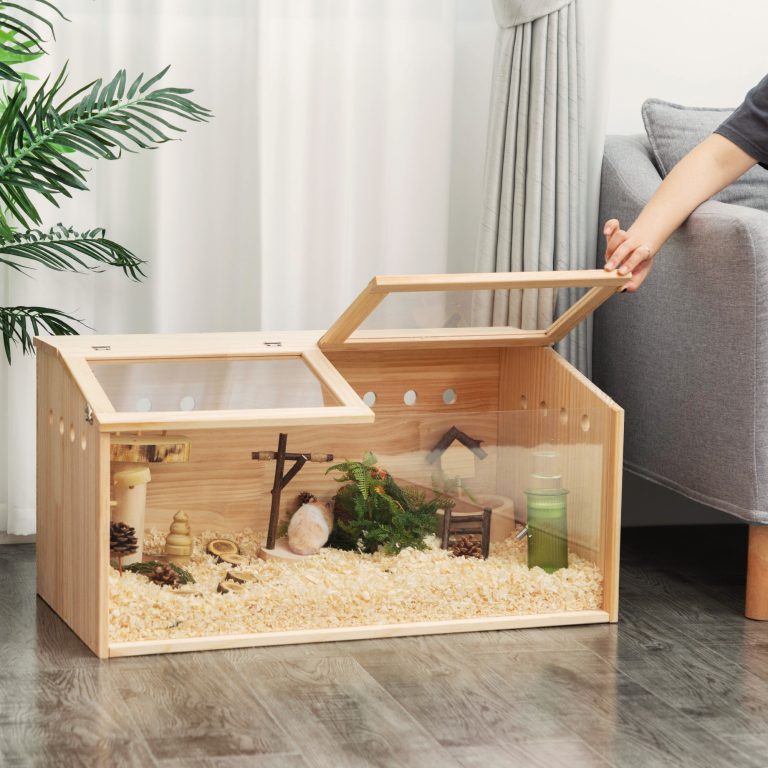 Preserve Your Pet Happy And Healthy In Hamster Cage