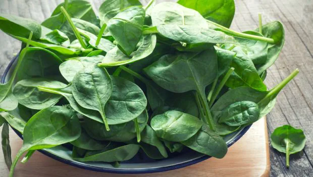 Realities-About-Spinach-Sustenance-and-Its-Medical-advantages