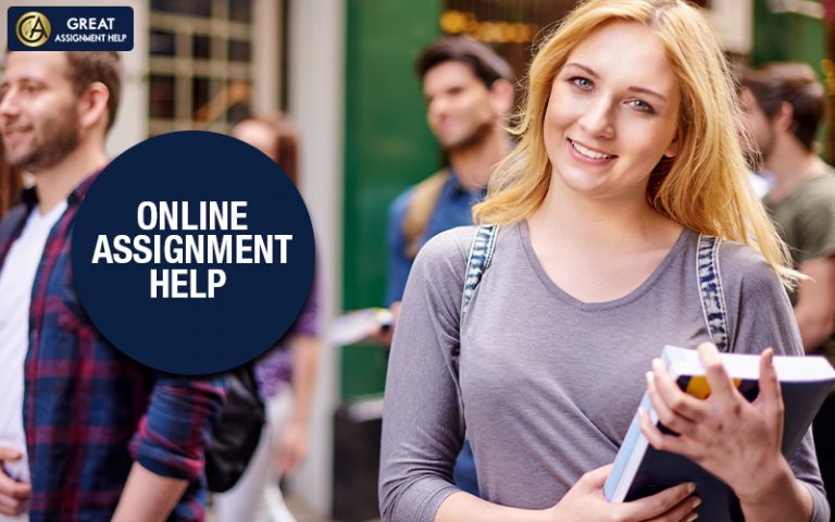 Chaep and Best Assignment Help Online Services In The USA
